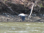 IMG 4547